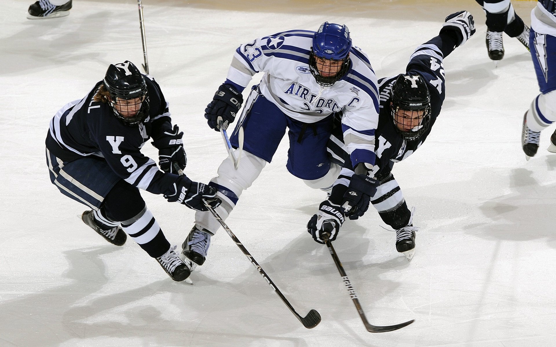 _文化体育结合:非遗项目赛事精彩纷呈_,非物质文化遗产传统体育和游艺