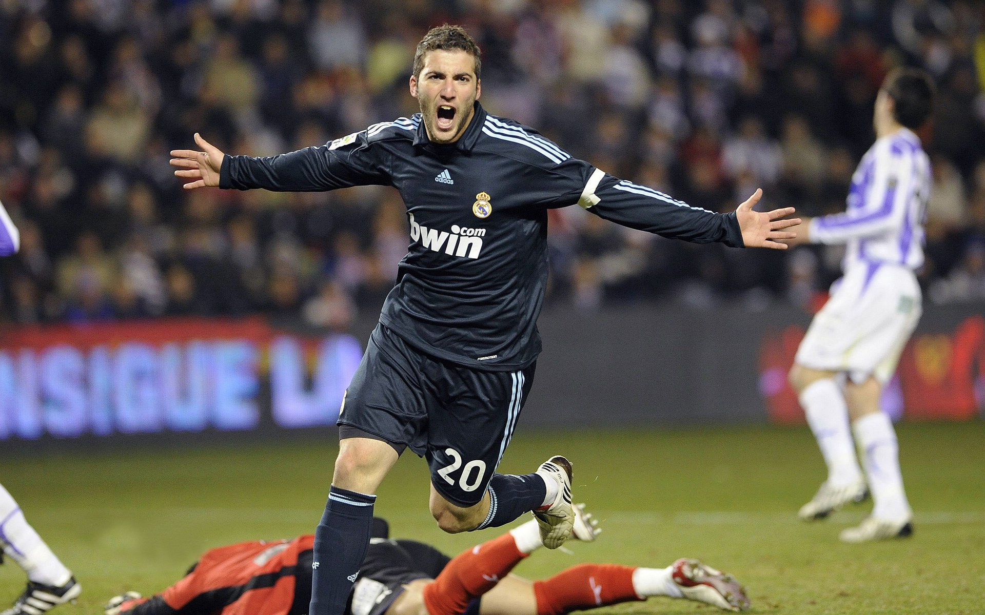 _老虎般的猛龙，鏖战到底笑到最后_，迅猛的老虎